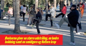 Kinesisk  tai chi kampkunst vinder udbredelse i hele verden